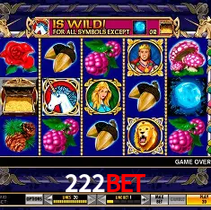 222bet Salvador - Bonus Stats
